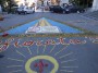 infiorata (71)